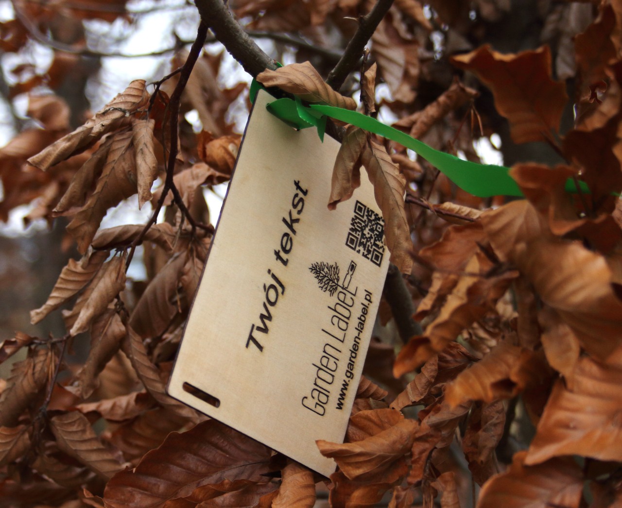 85c64c7ac8f68cf0bcbeb1083ba616da