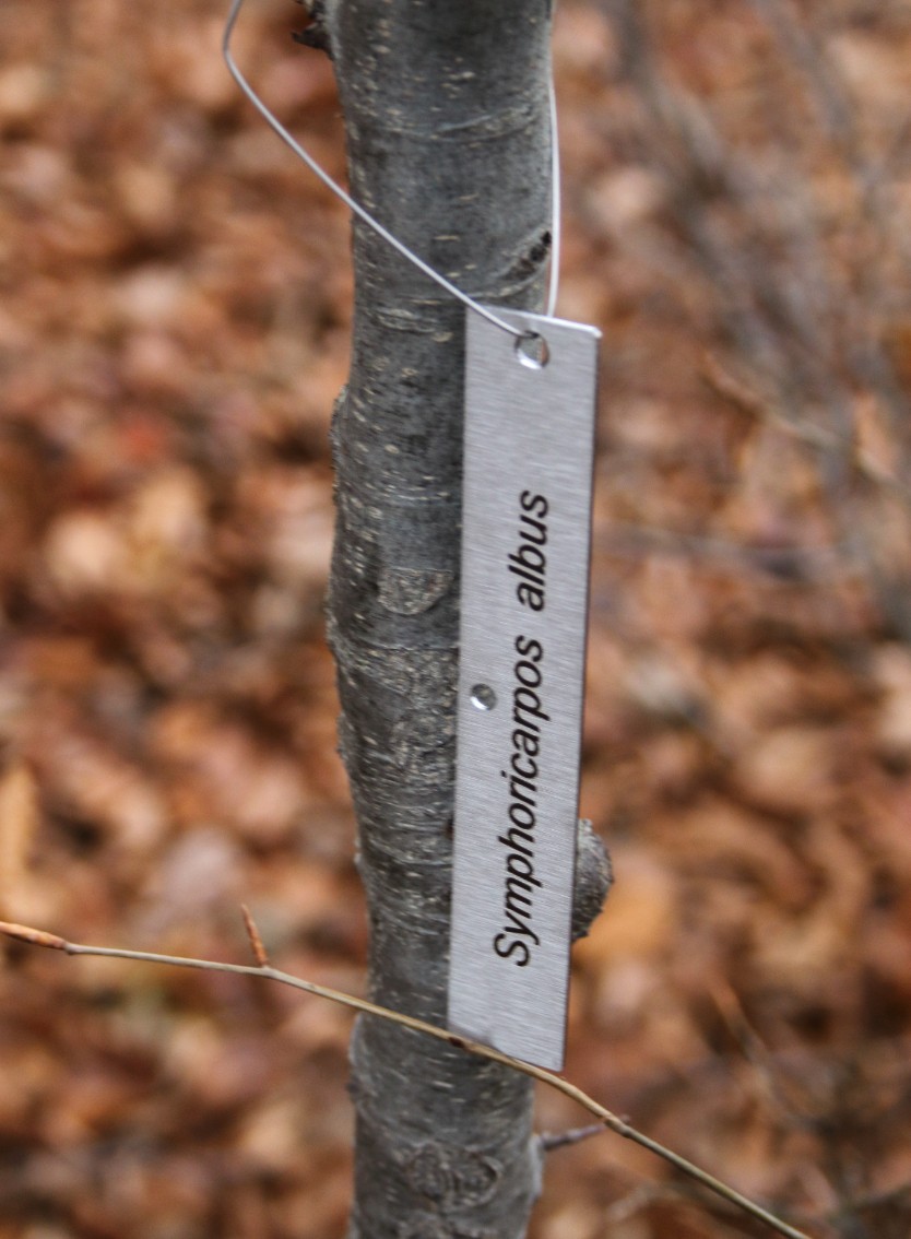 2ac3f66159ebca1fbd1071192cd6b933