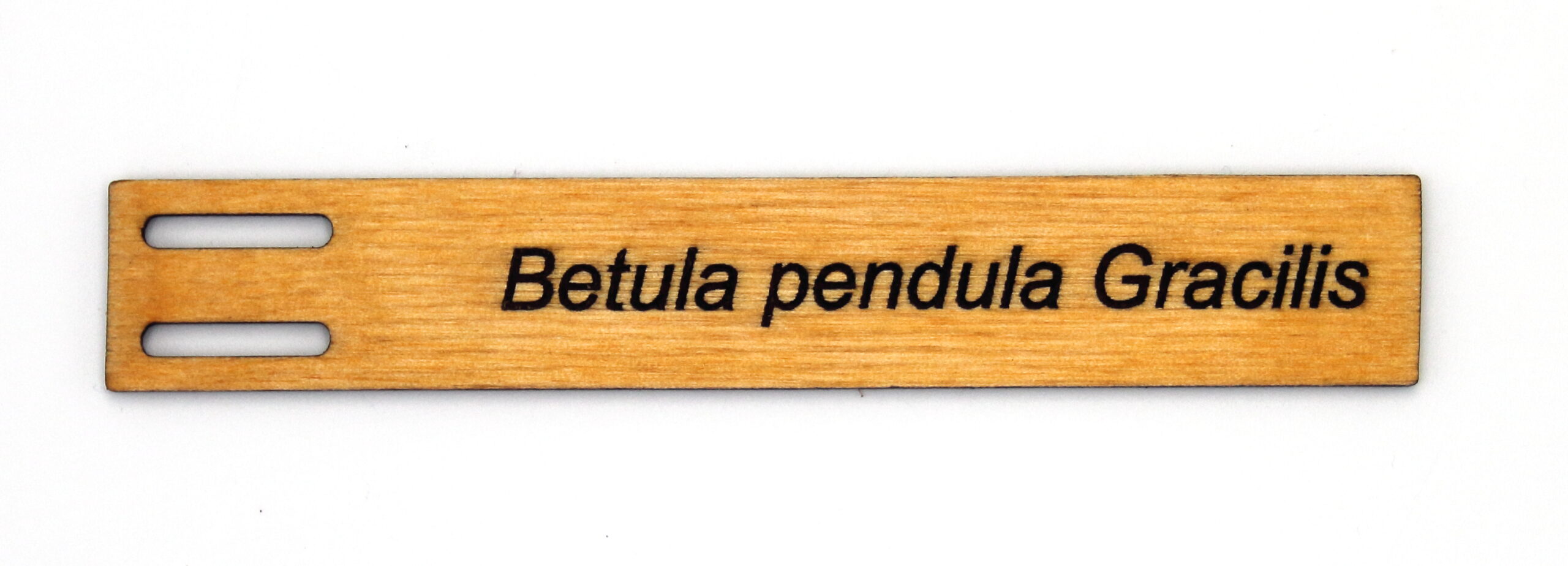 5d4508d3efd03a4fbebe8408f7026b4c