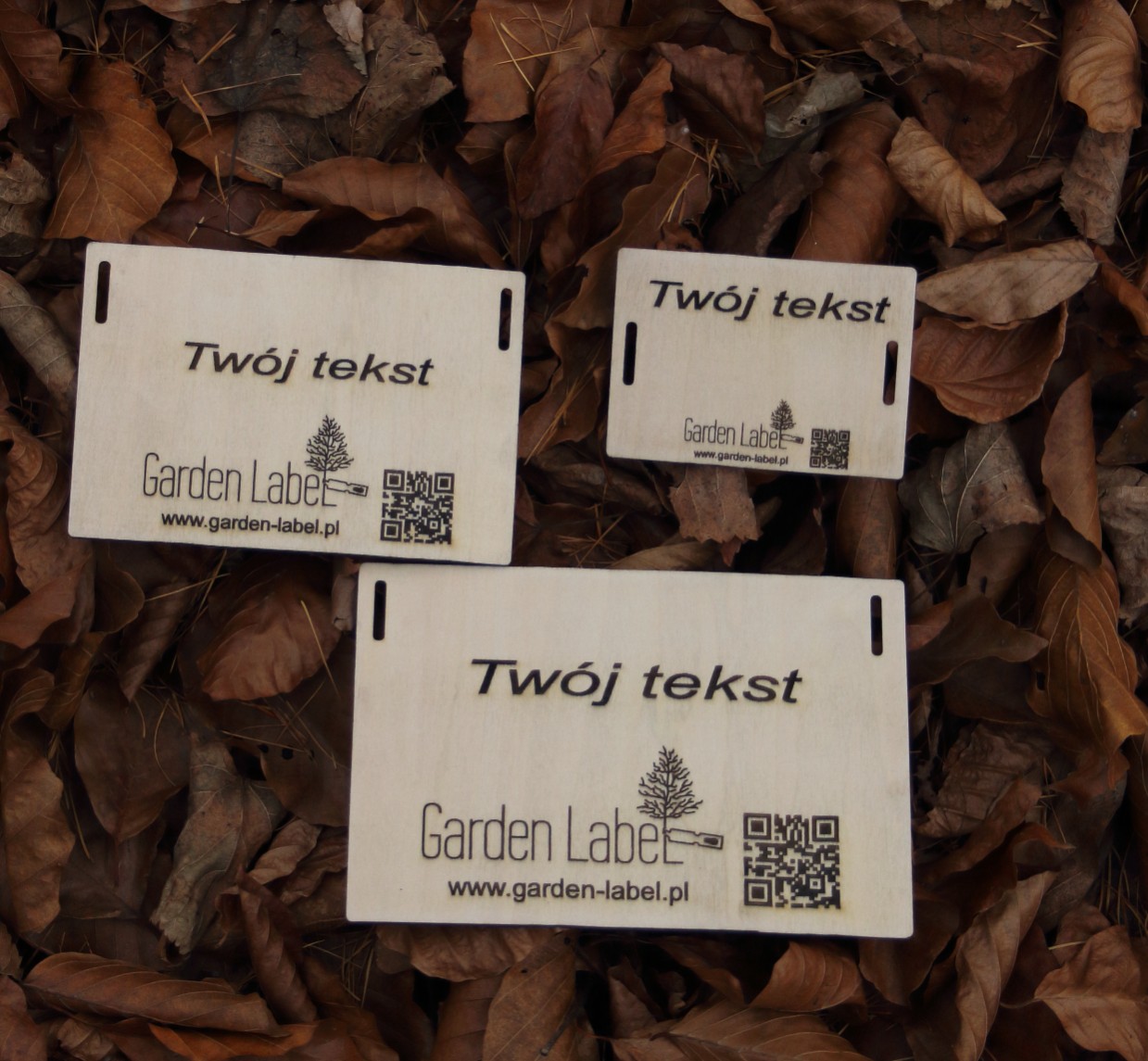 a100cab77927583e446adaabc8989346