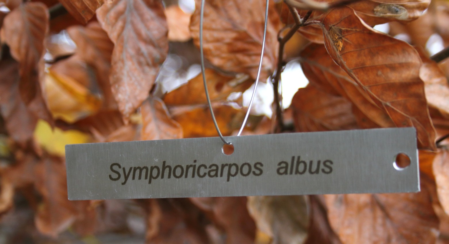 661db46e6431b56f41fbe1efa30db8c1