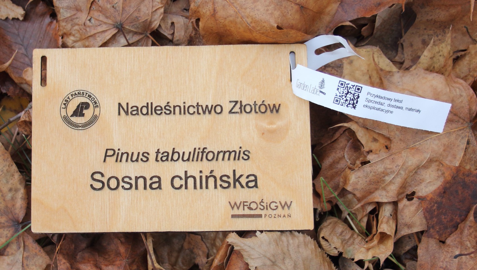 78d2d26318dcc4df273345f6b1f02a79