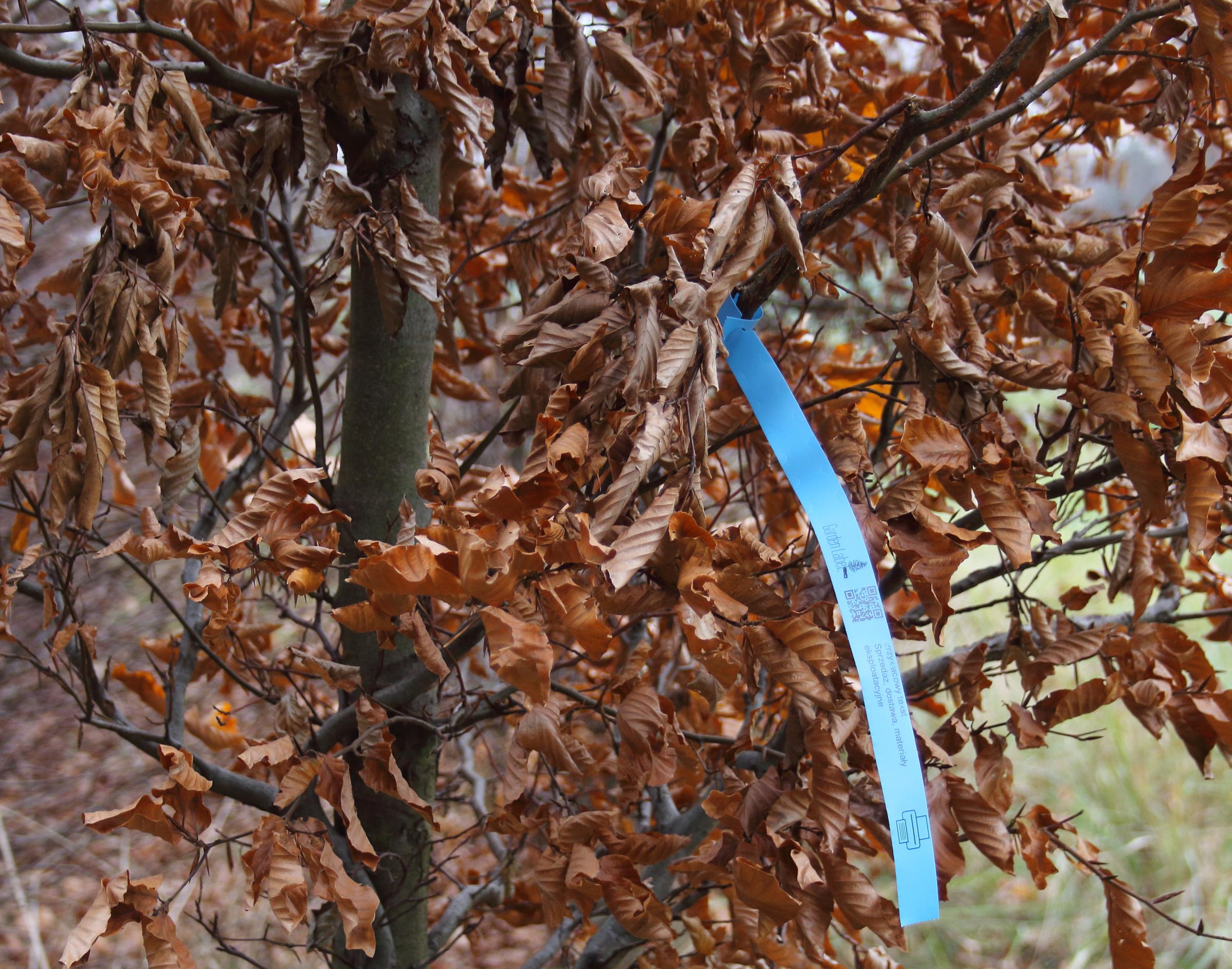 66acd8492b6256377fa625984797a709