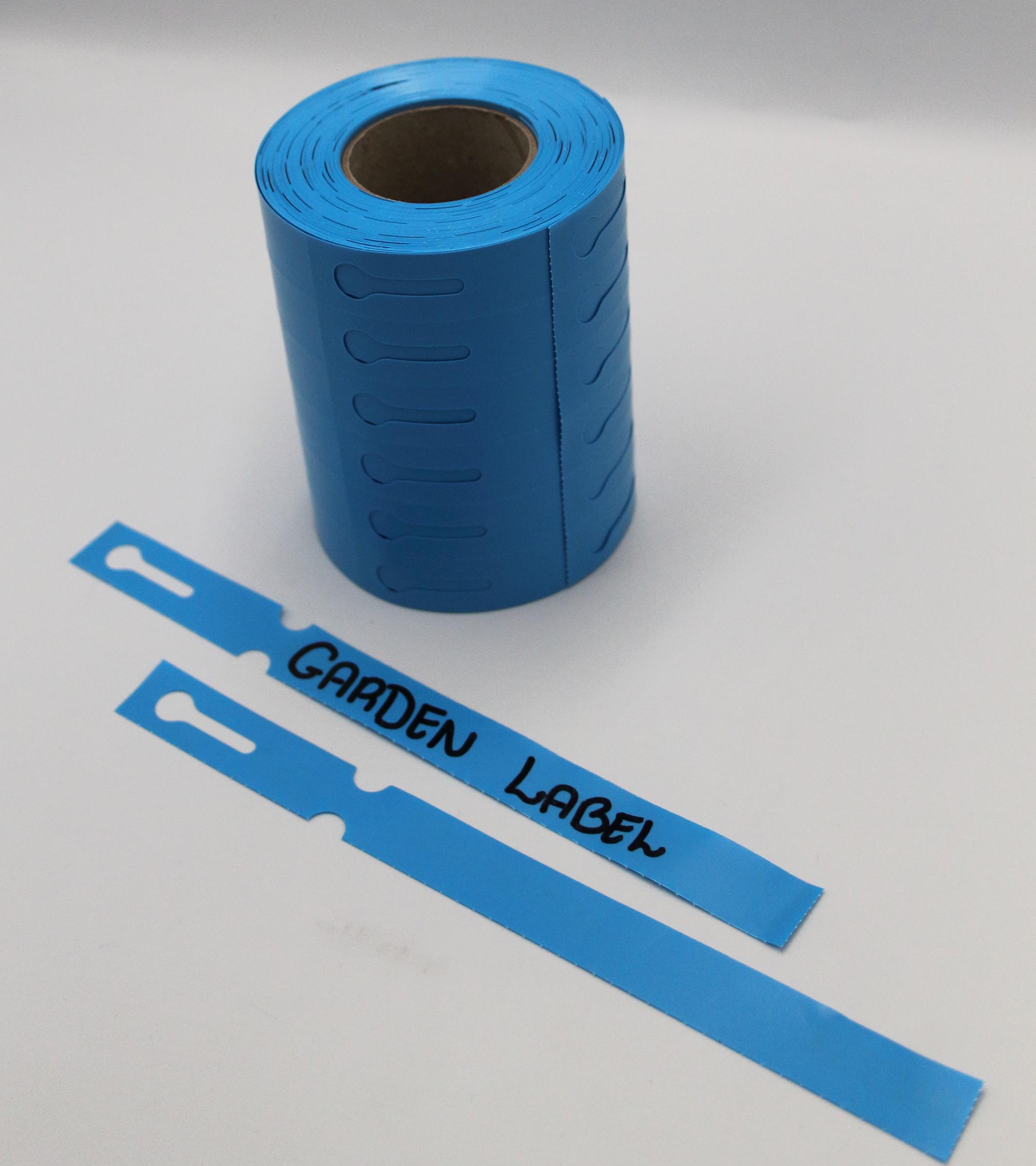 8cc4aac6ed8c4afe3a76b0a3eb5eb515