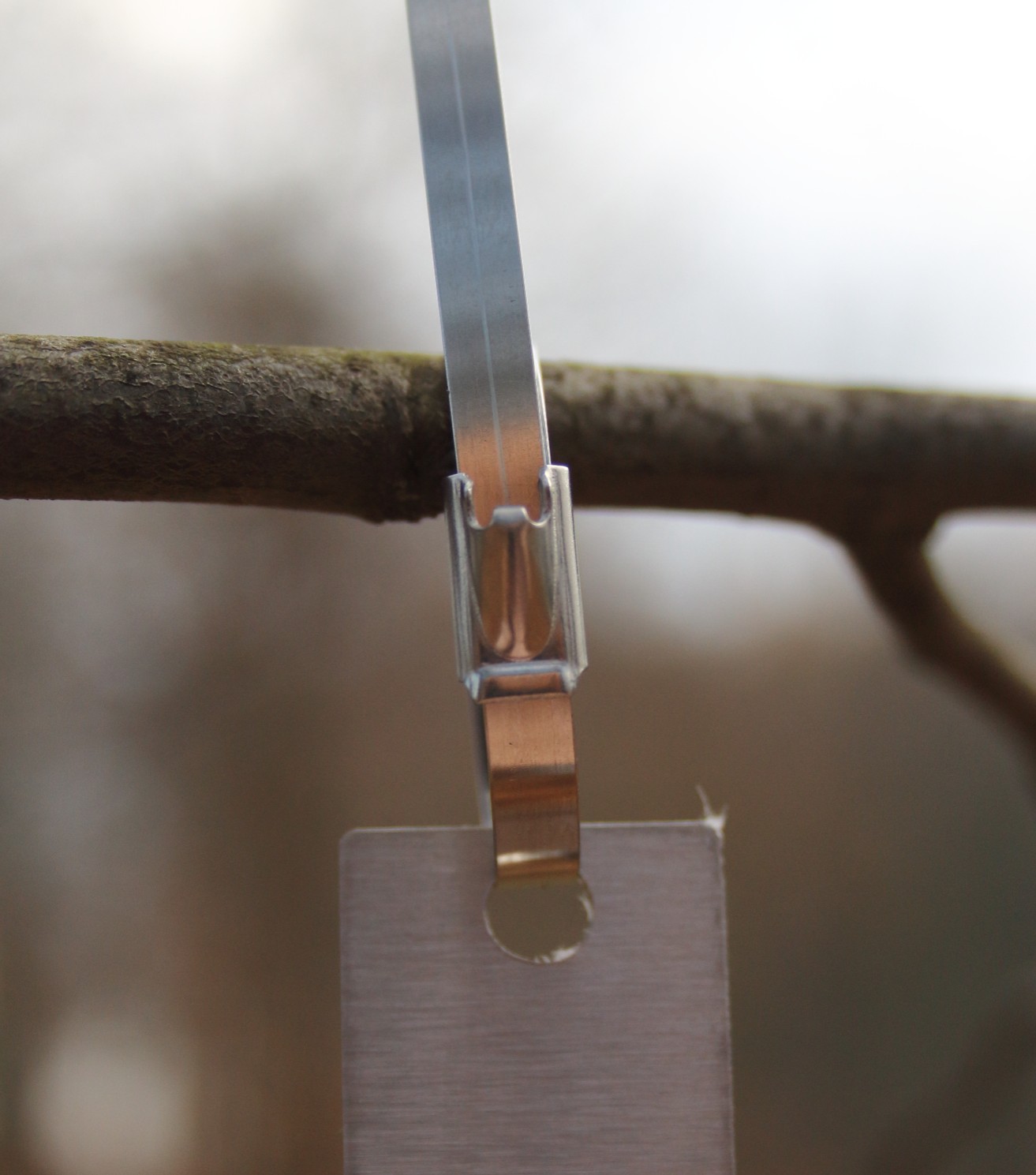 bb63ccbe640f434f4809b655fd3eb554