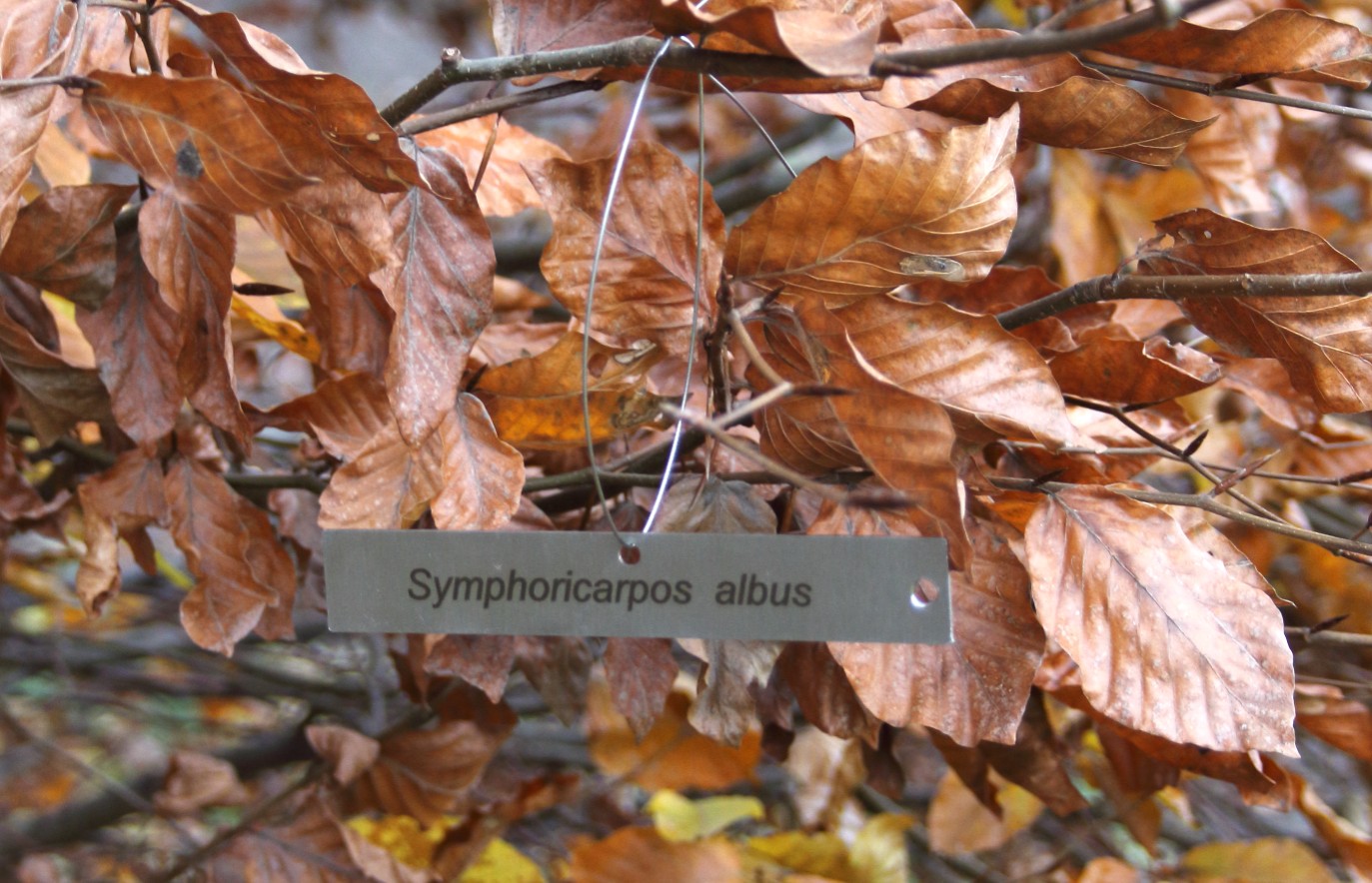 c01f3fdde4eb075fe61aa8d792794203