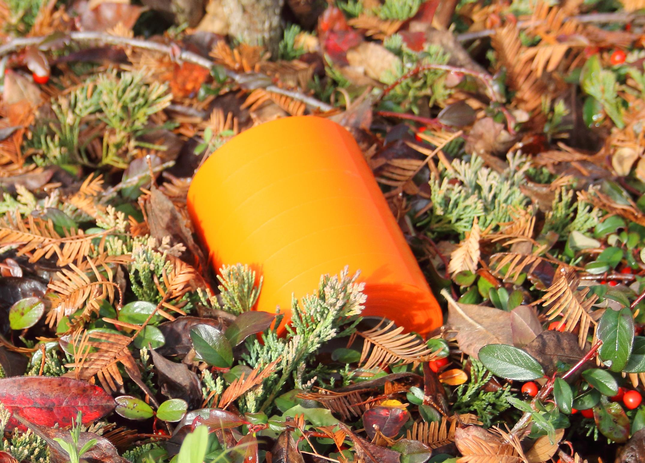 11d0de0612118f860bd4ff24ee856a86