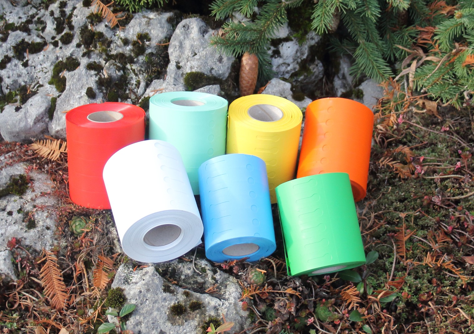 5293dddac10478730c80a6b3694ee64c