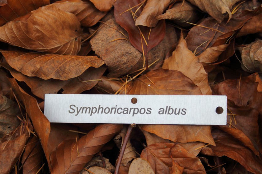 72ec1330bab013f26456b7ae457c77ac