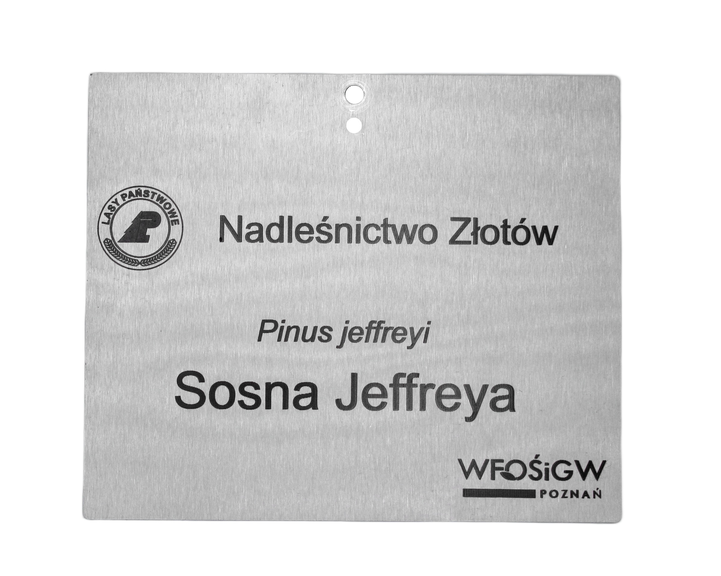 050369fb163e12d3e651803ce1c56880