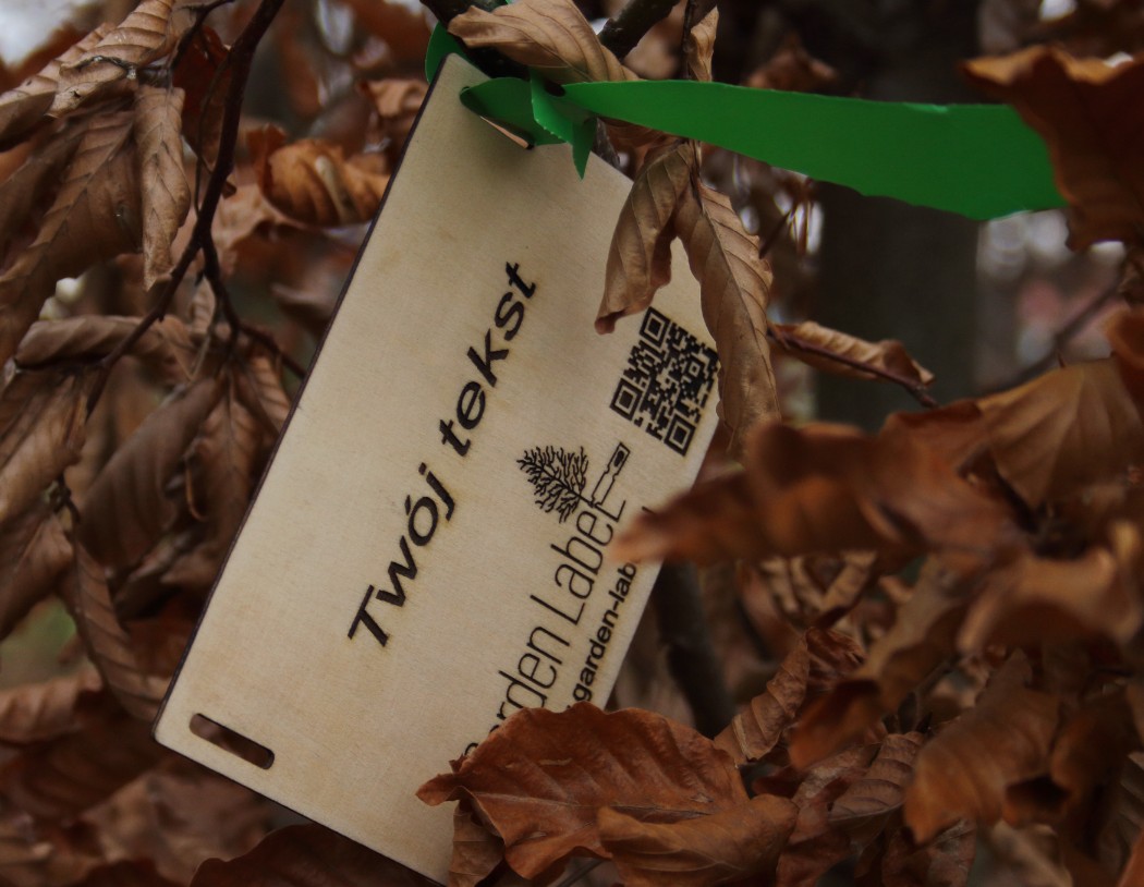 26dd1e1e725fbb6a9993d603113b1c2e