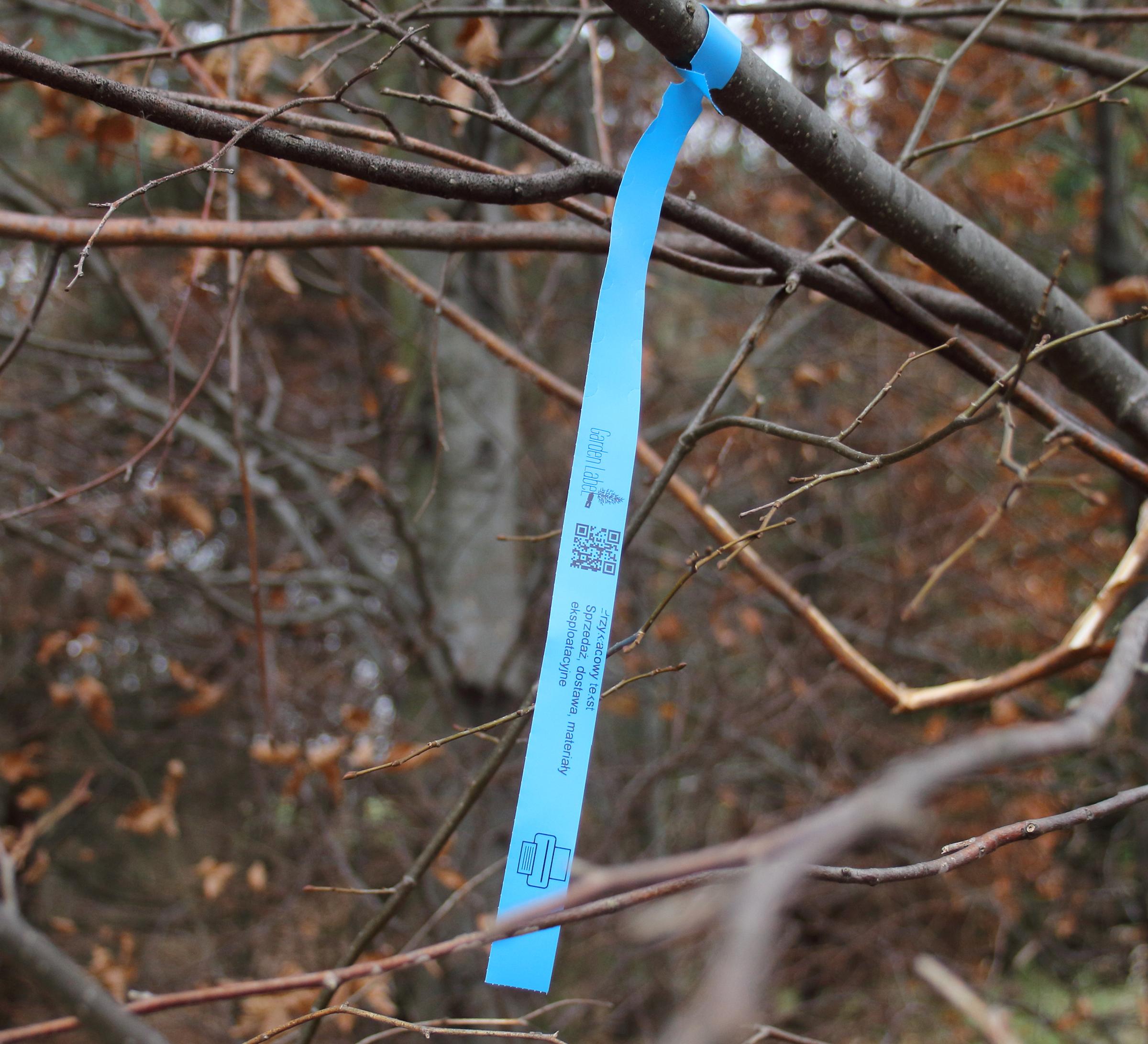 3ac000a3c3673dc2e07d9e2d7040808c