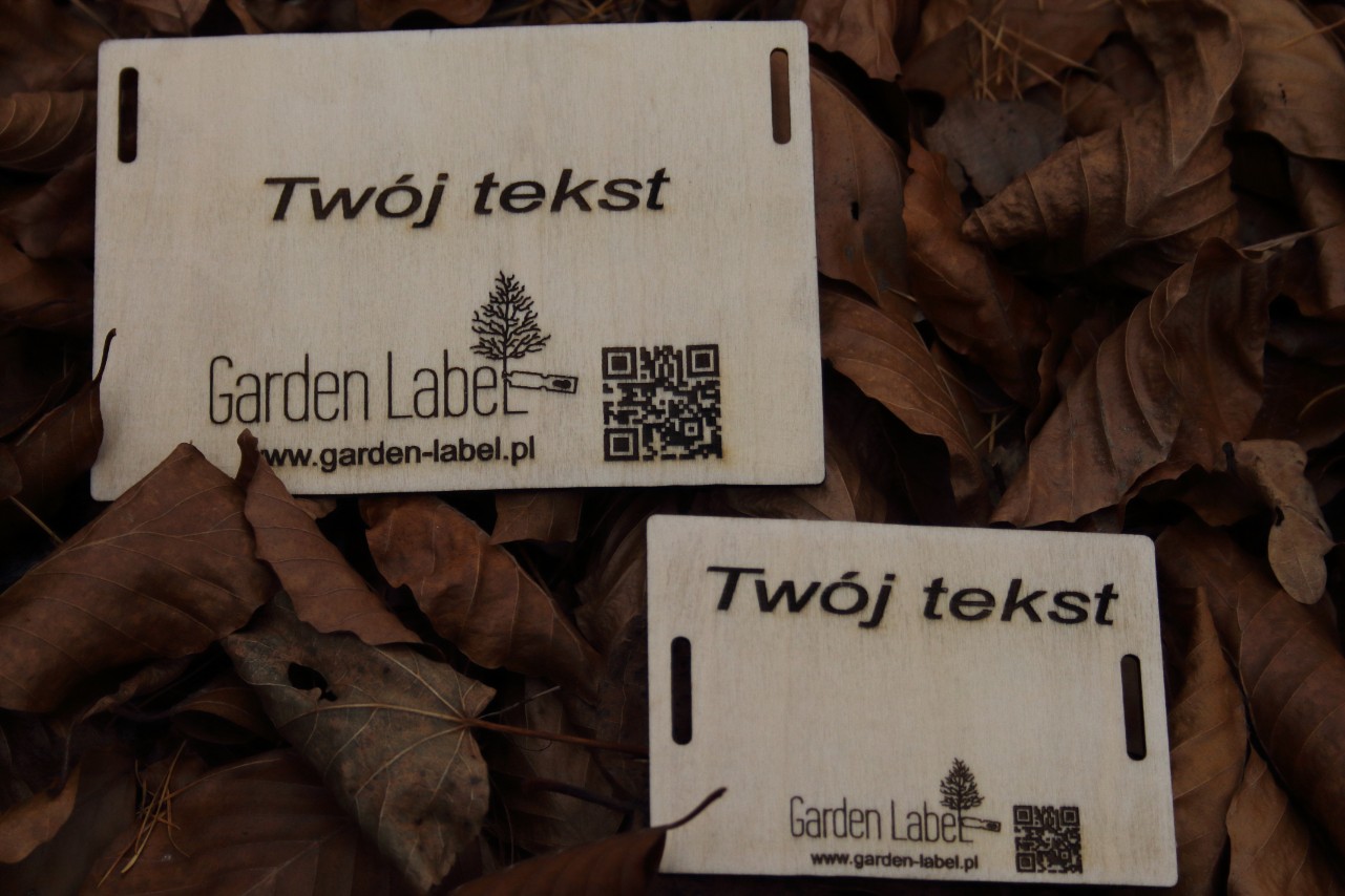 cc4cf0436b9964d87cd05d1bfb847e0a