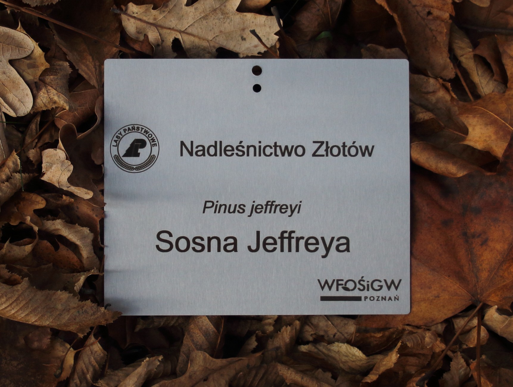 959c0286adc72ea0b56af78ae5c778b8