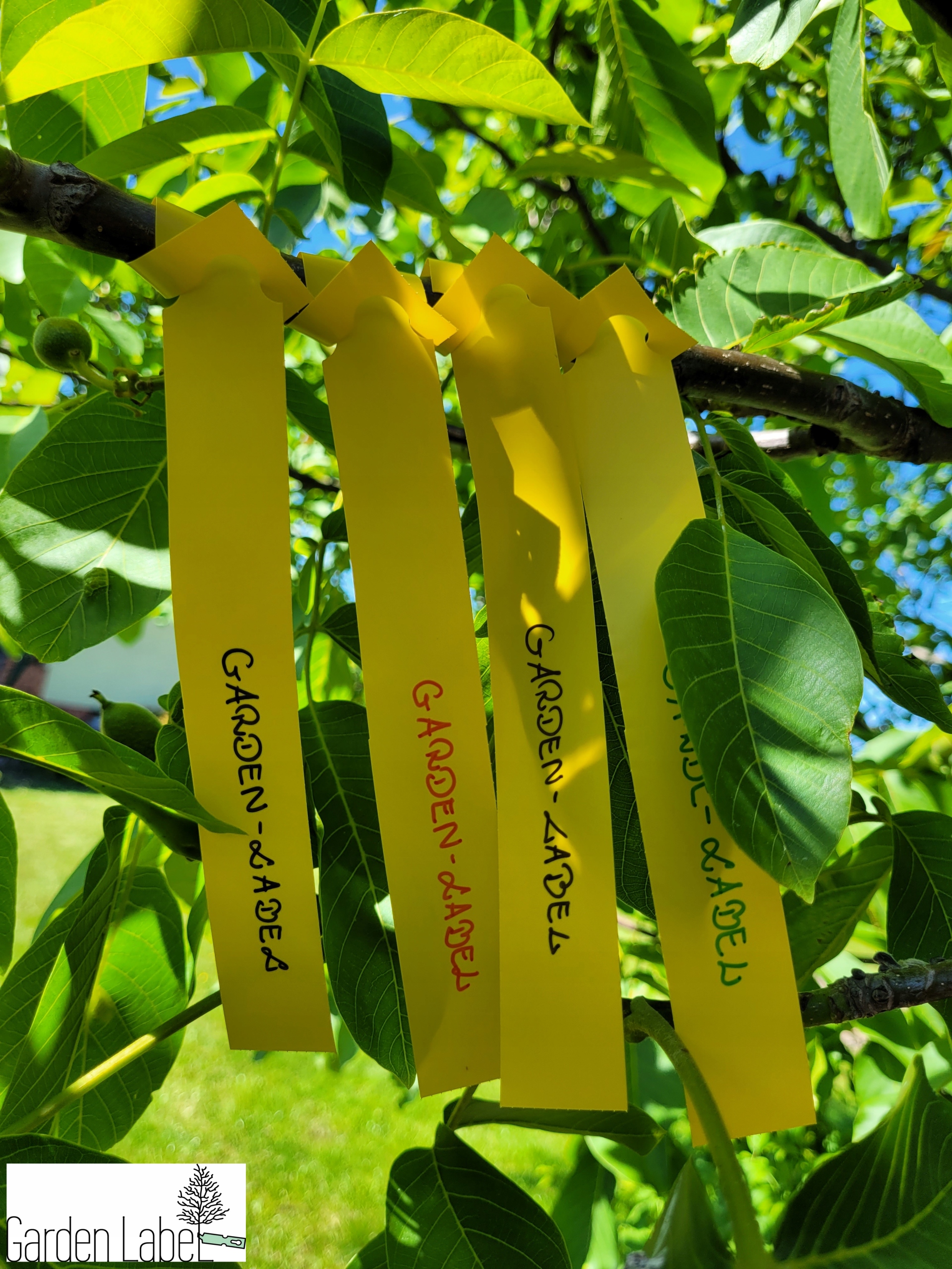 96776746f3f9281fc7738b8498963dc9