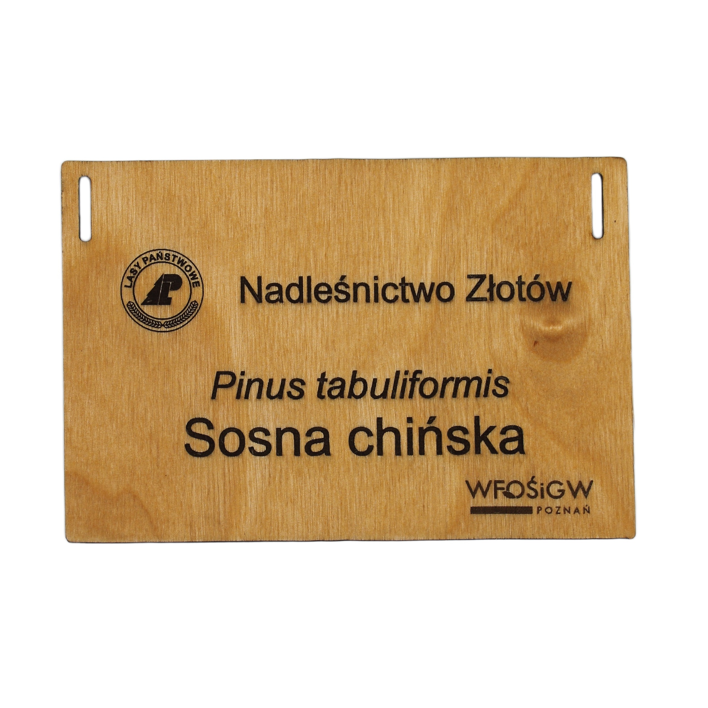 cd34d4fb5894d38452207505d85c1b8f