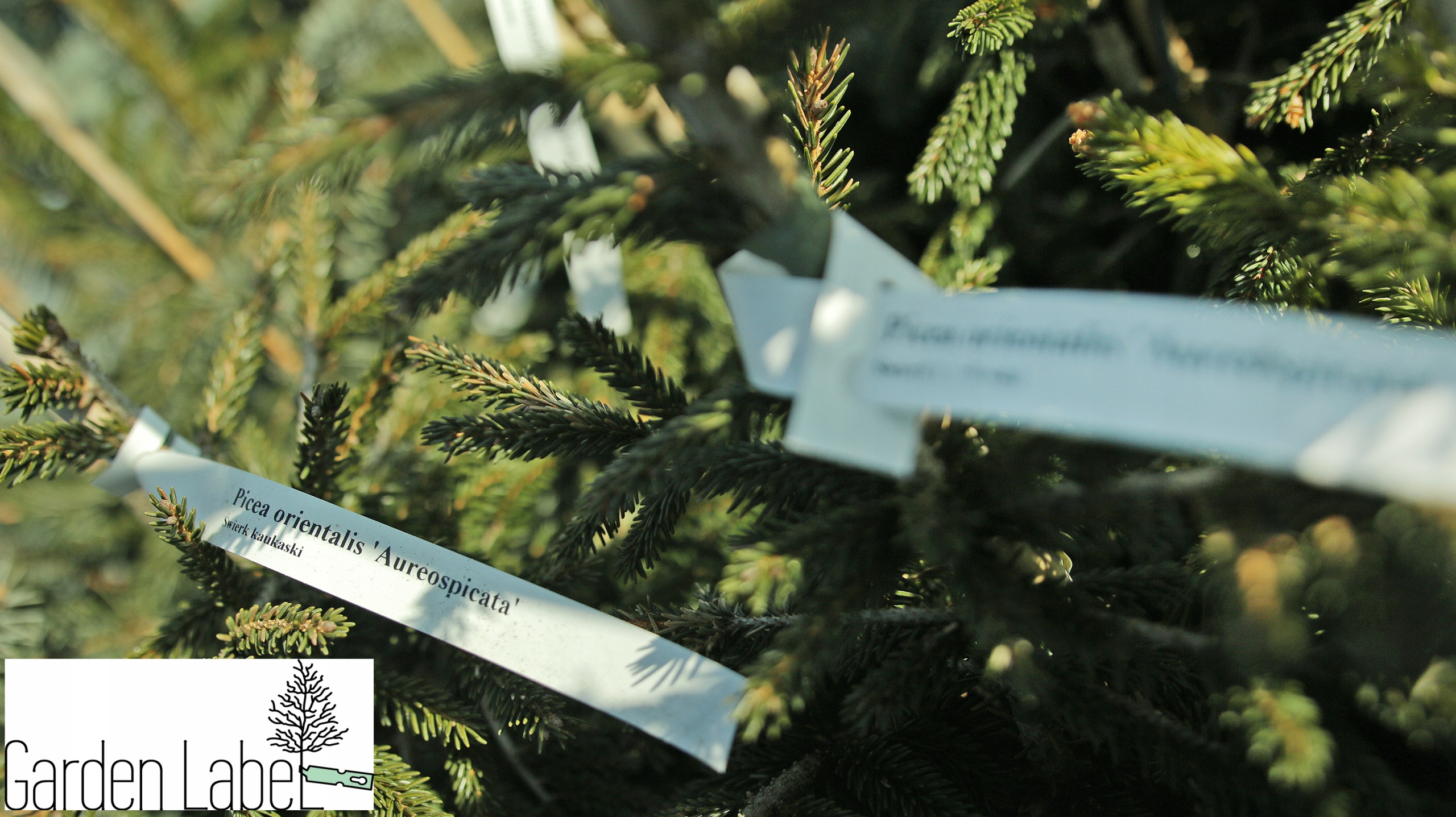 248ae4340e7e26db75bd8fb2a71add3b