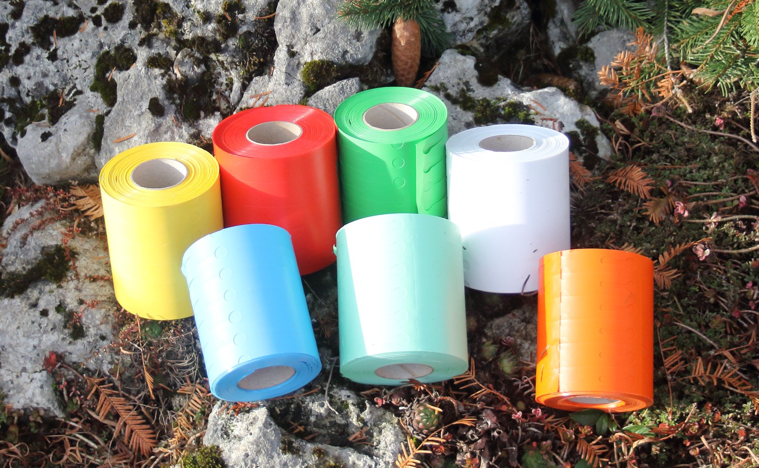 b8702b95979aed56cd381a9e69cf5814