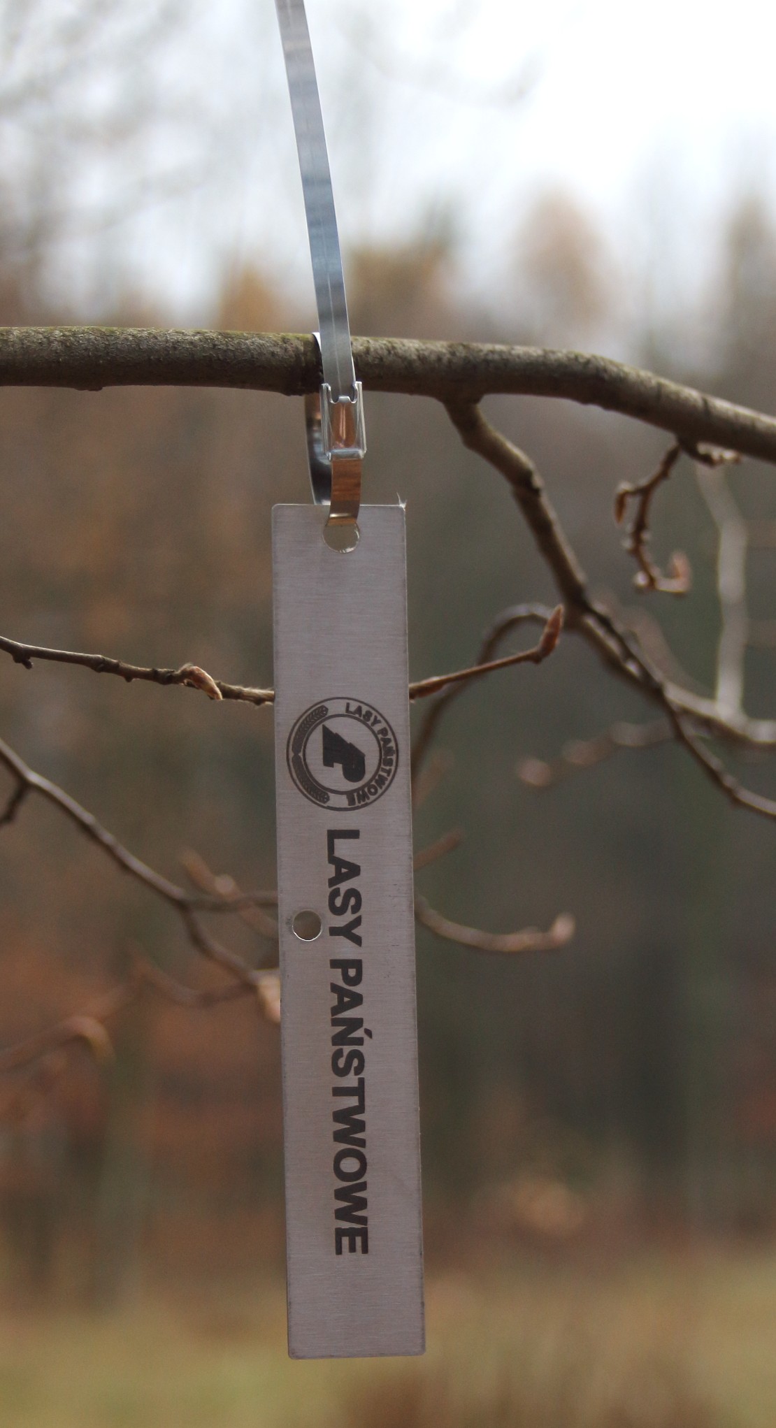 c4c9a3e6f2ad681aeaed620cdb8518c4