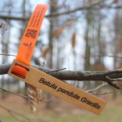 c51d52ed619f68ed00325d1b2acd5907