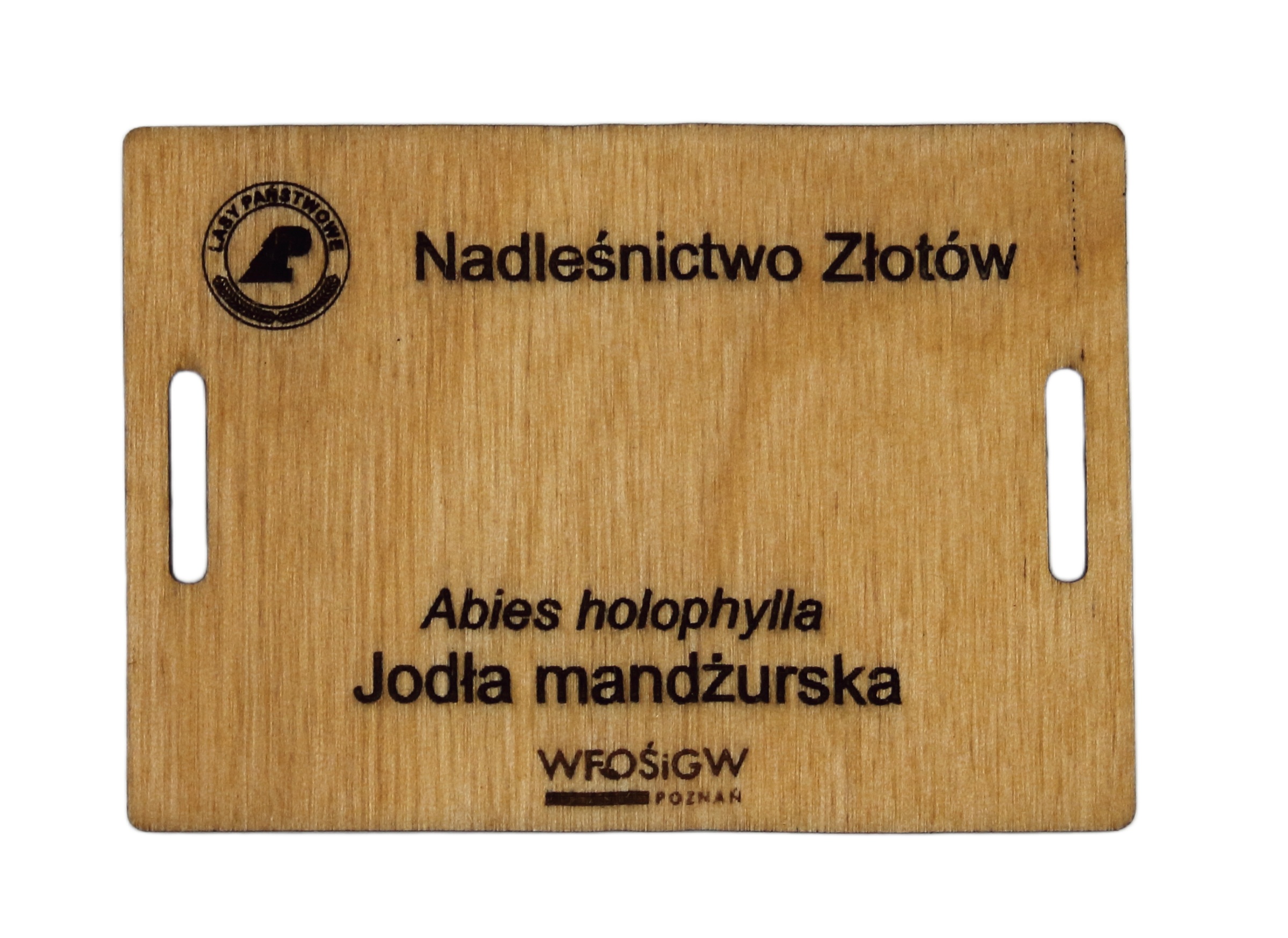 861e2a263461aa3de88b9d03274b01b3