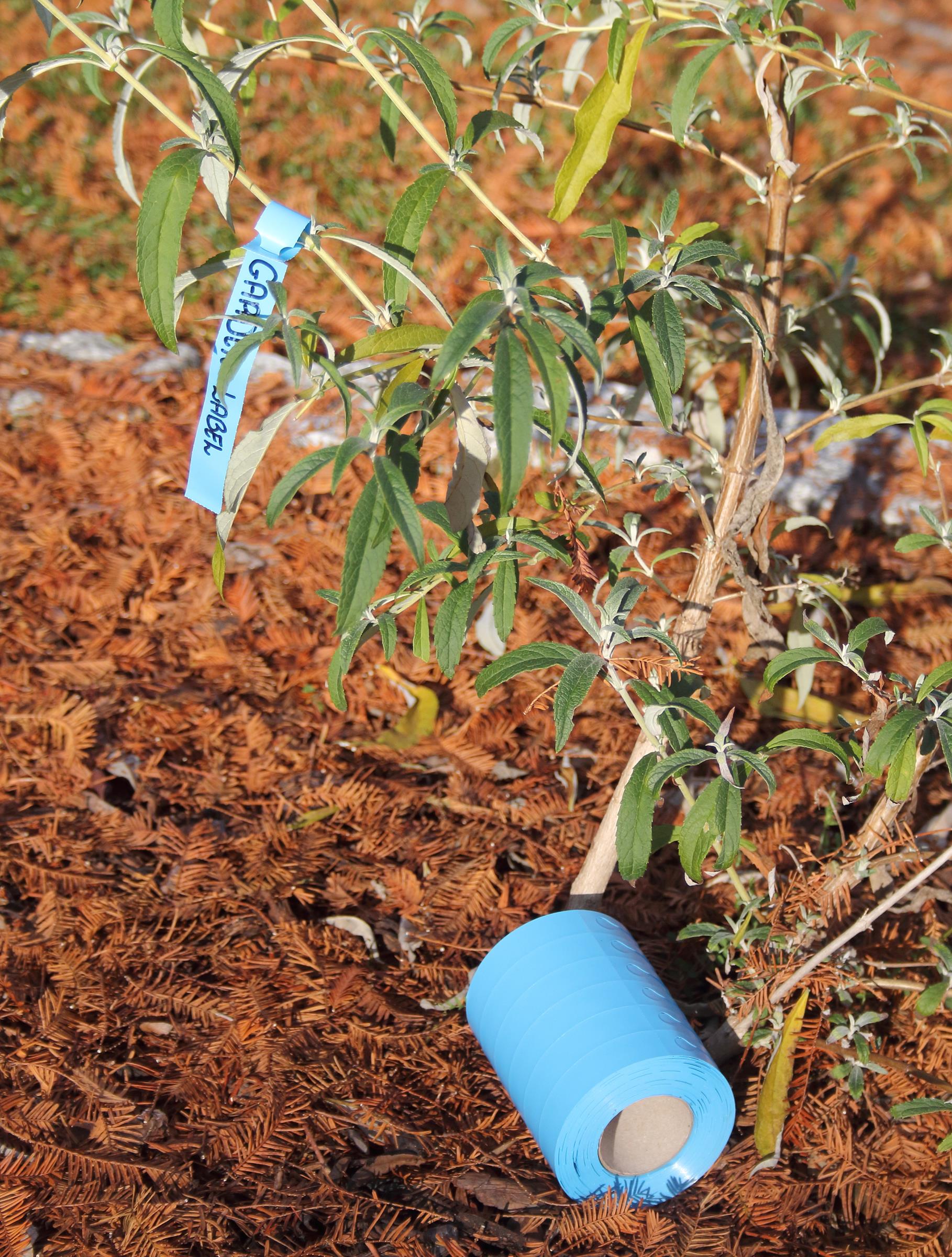 8946c7a52cc8fa40ae08fda911c06378