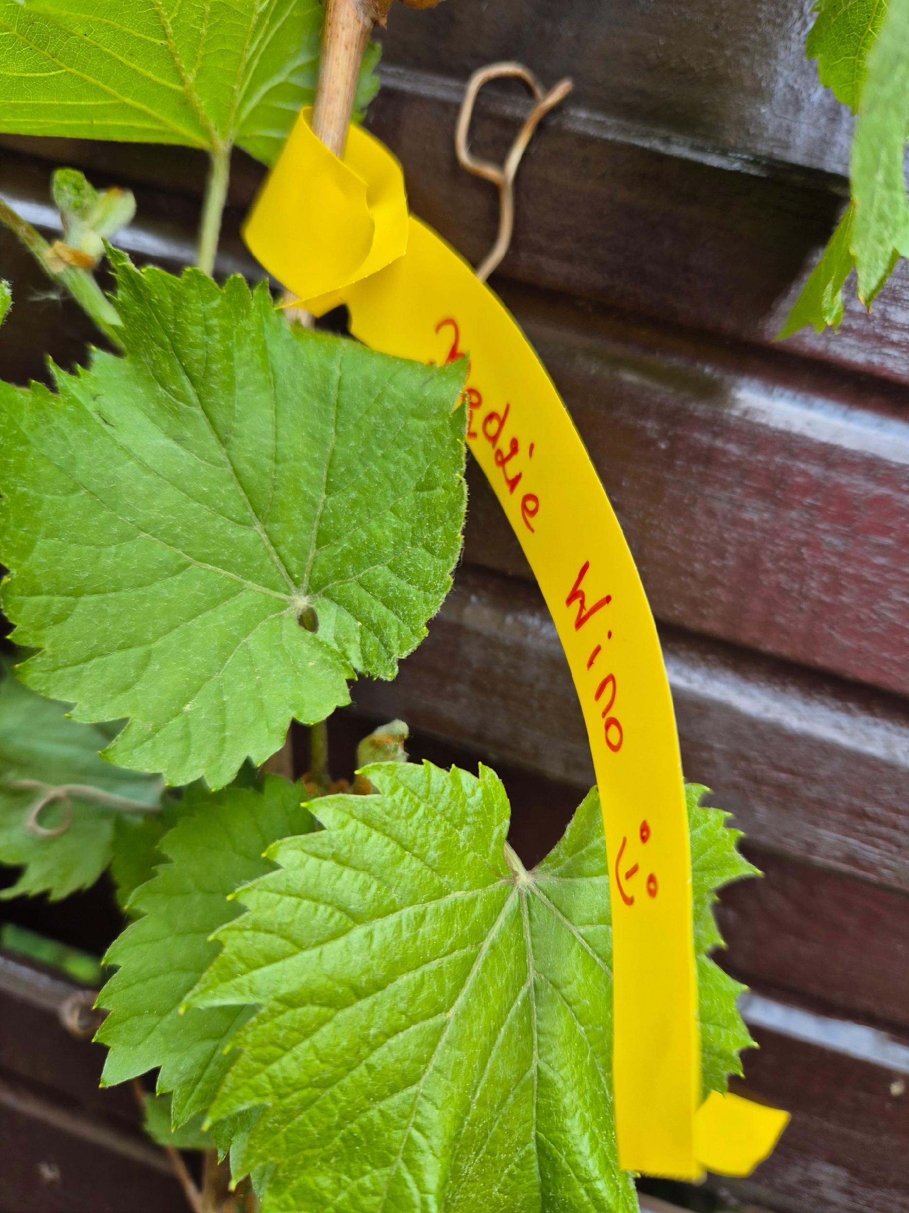 1188b4356d8a384b1db28347b08d56df