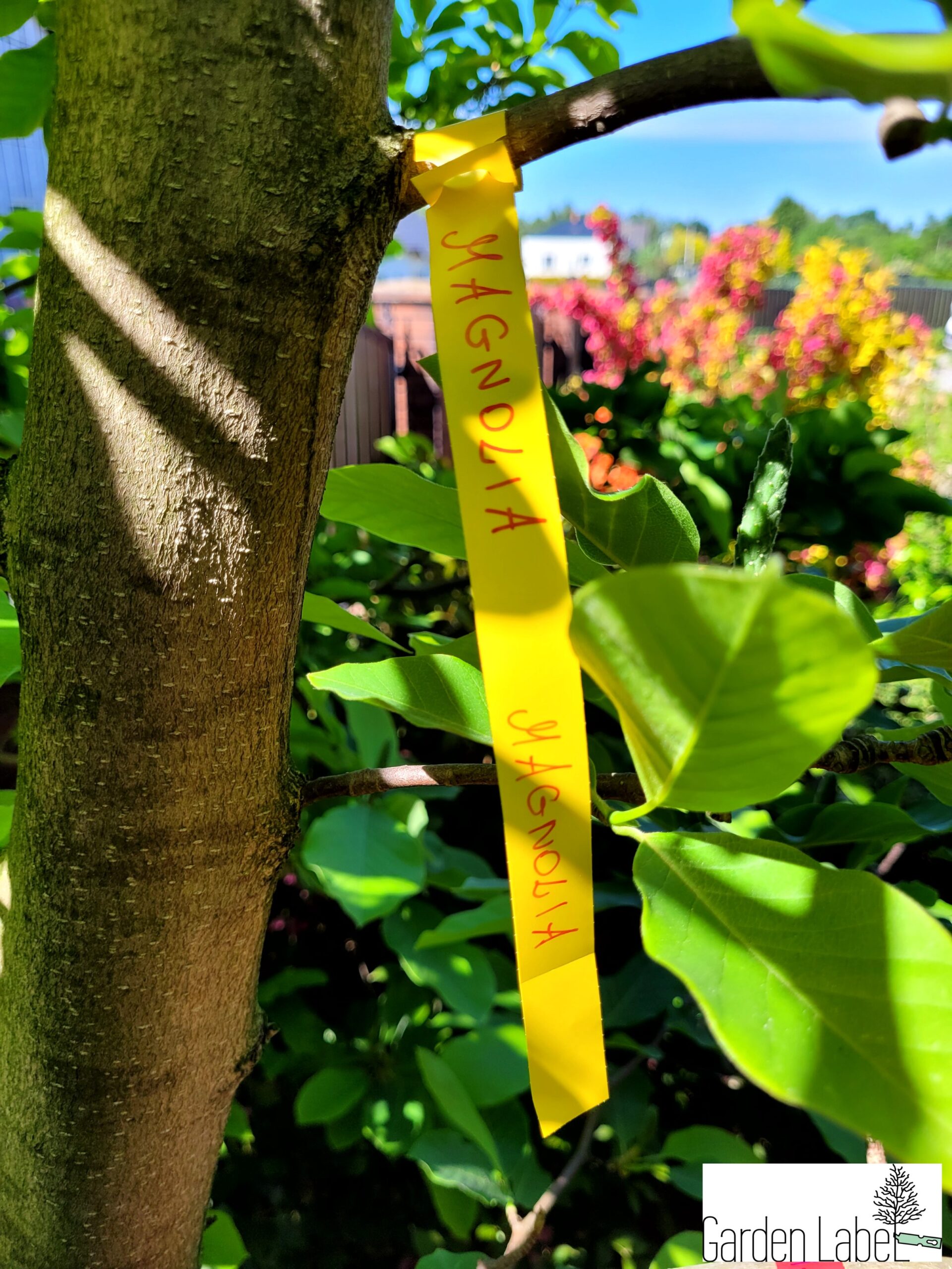 0859548d6e66732a7edea6a577416141