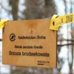 c57899d66c7ffe7db8fceb0e62dab7cf