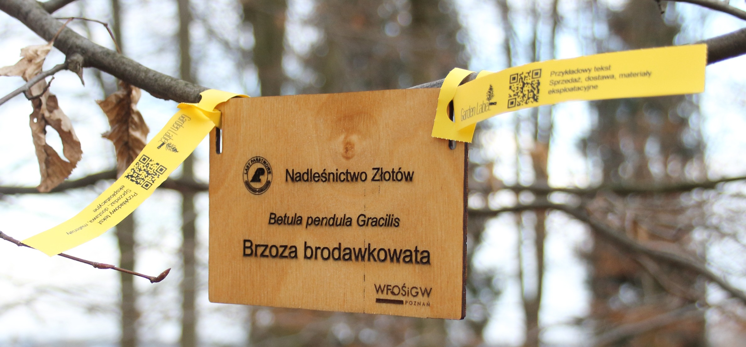 c57899d66c7ffe7db8fceb0e62dab7cf