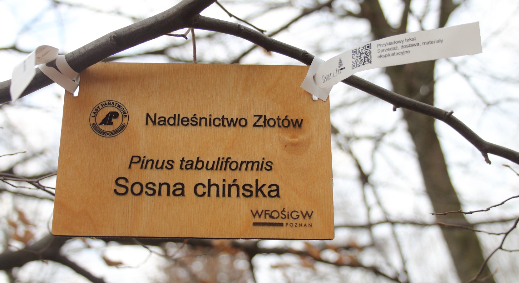 4bdd90603decd294dd0e299d13db9f28