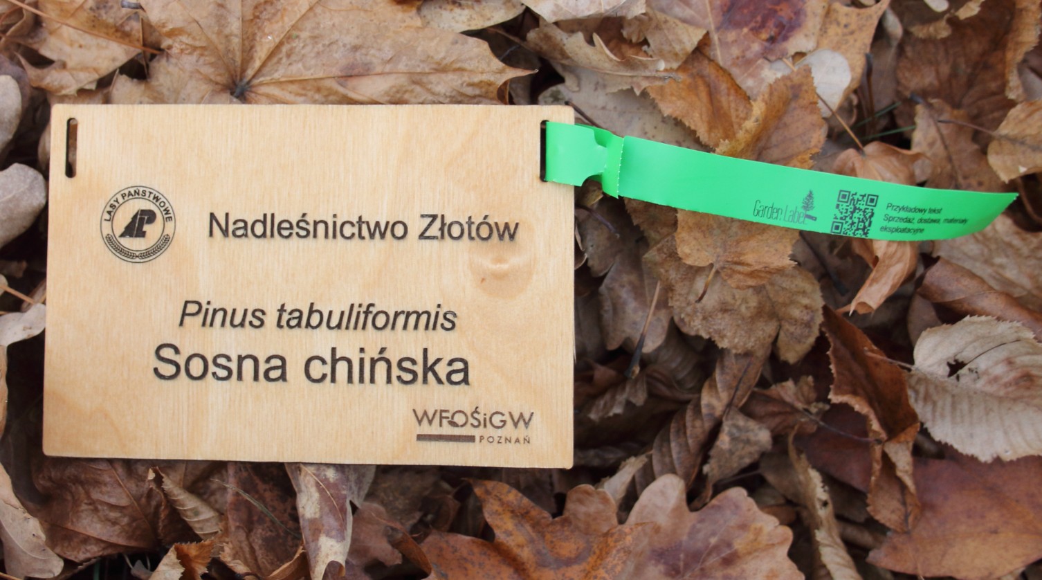 b9fc821a0a6d46d138bd466b65269679