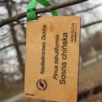 d20e7e8a681e00b2ae4cabb940d73402