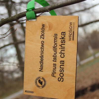 d20e7e8a681e00b2ae4cabb940d73402