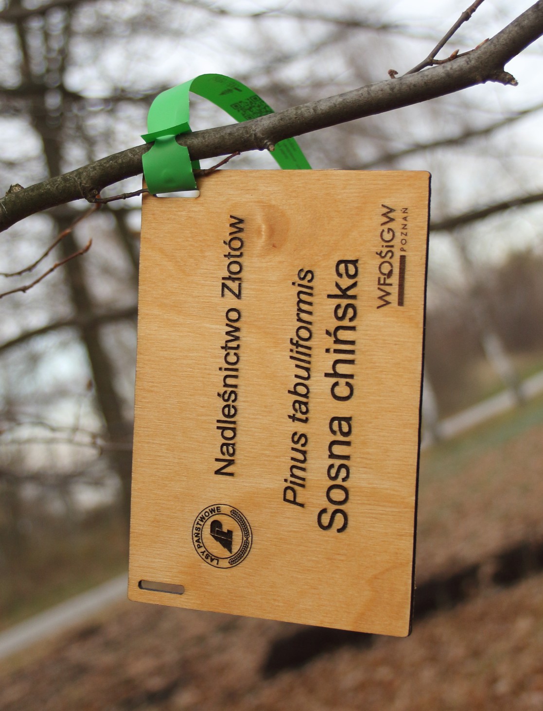 d20e7e8a681e00b2ae4cabb940d73402