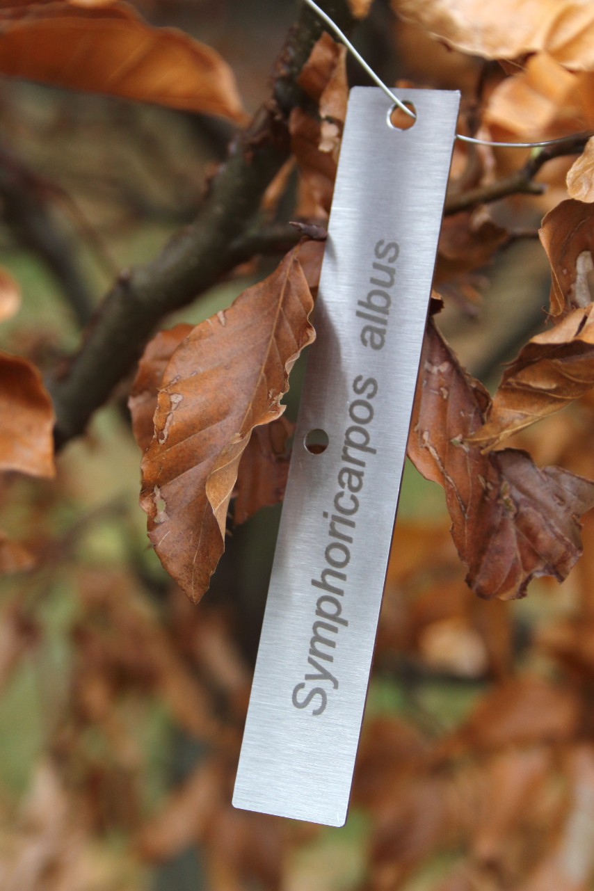 8a6826bc774abc639a810ed76f8167dc