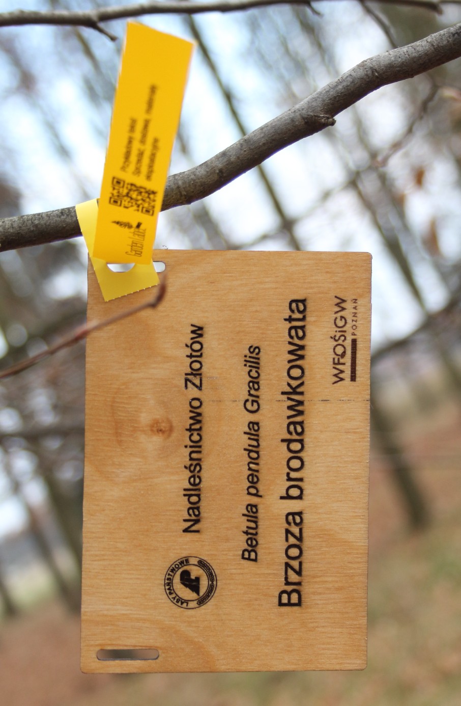 ddc4b4f68f2c3c20def10946bd6c31c3