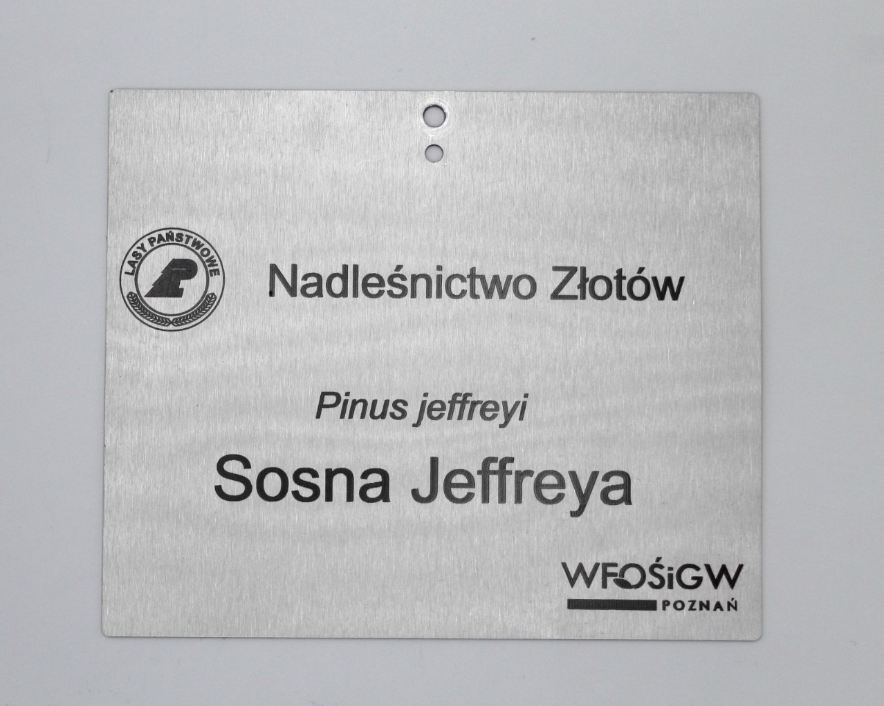 46b2a19dce25dddd6e24f1109492296f