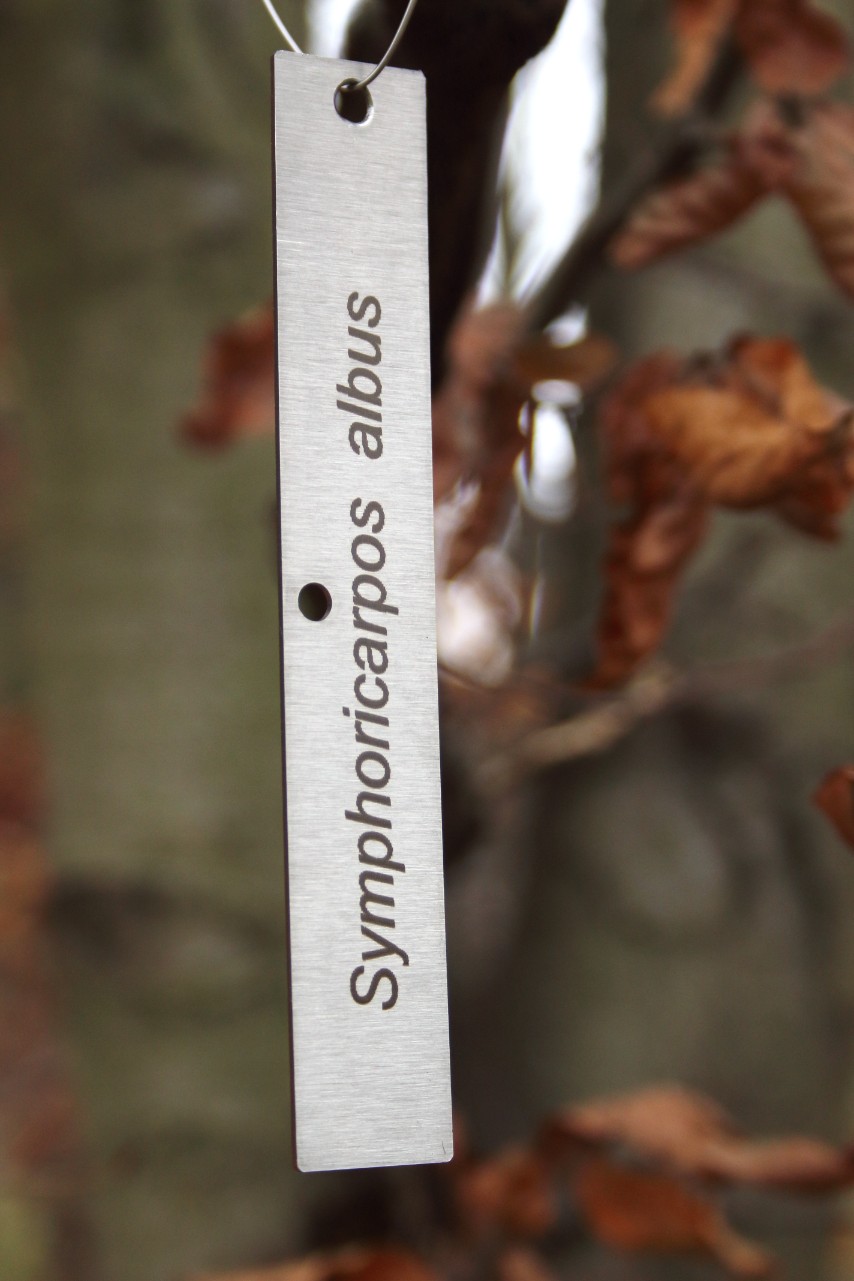 229c5523afe992dce1cbee7866caf972