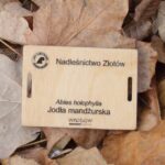 62047b790720f1641d3e132aa5190e1b