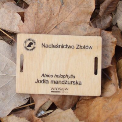 62047b790720f1641d3e132aa5190e1b