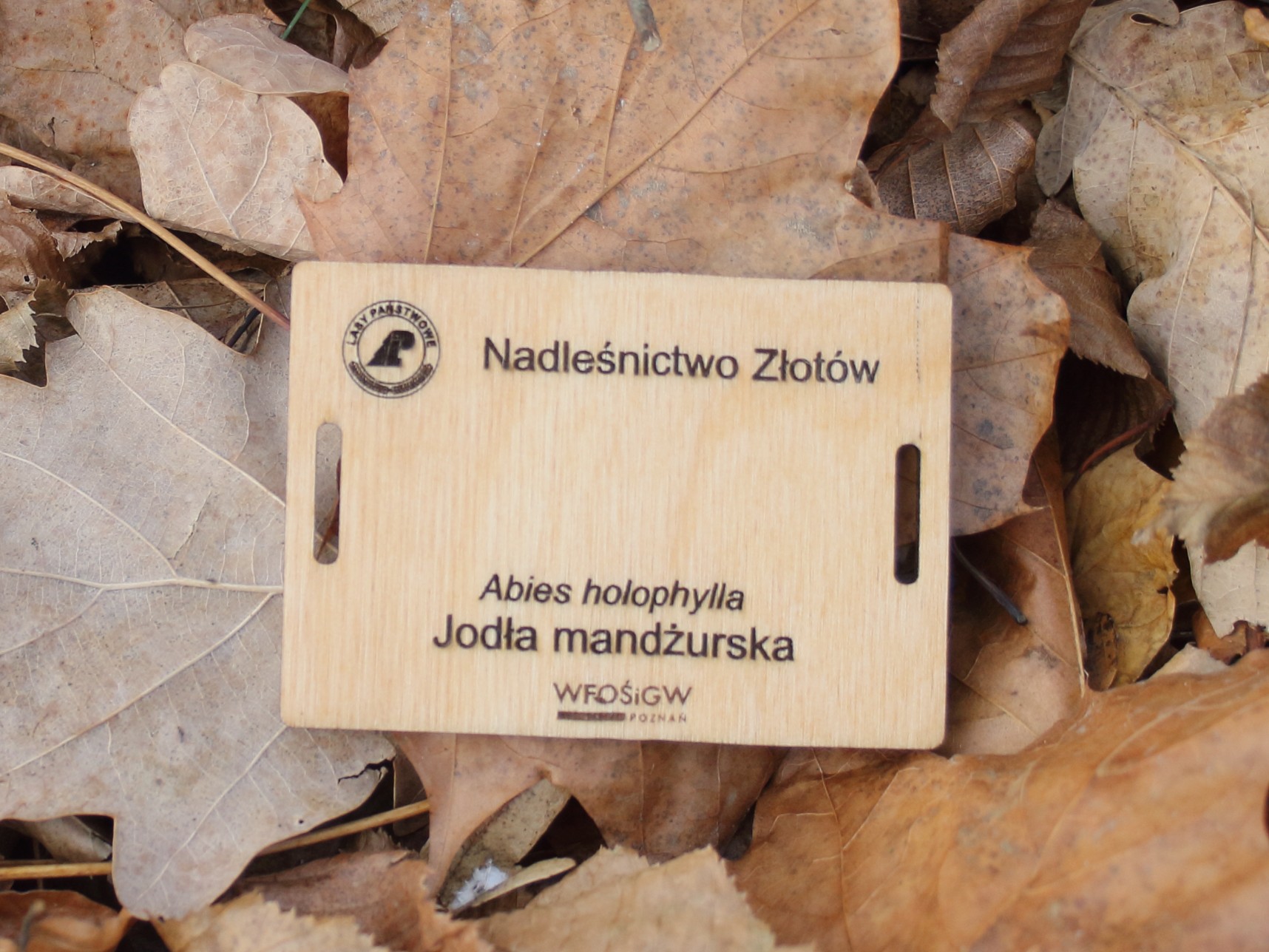 62047b790720f1641d3e132aa5190e1b