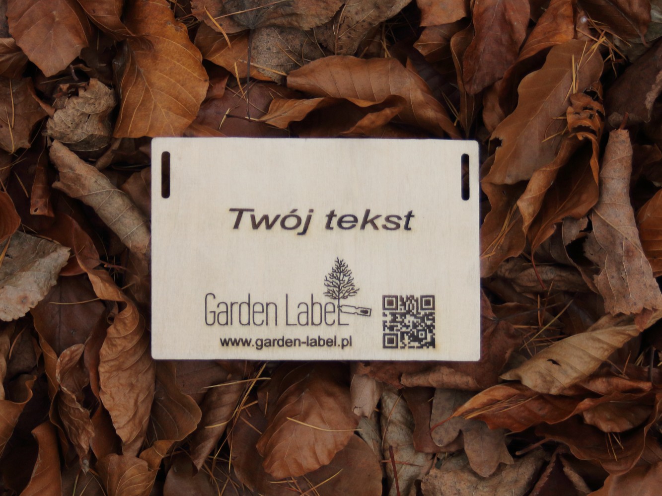 1821b2895ff338312c004268d4a0e79f