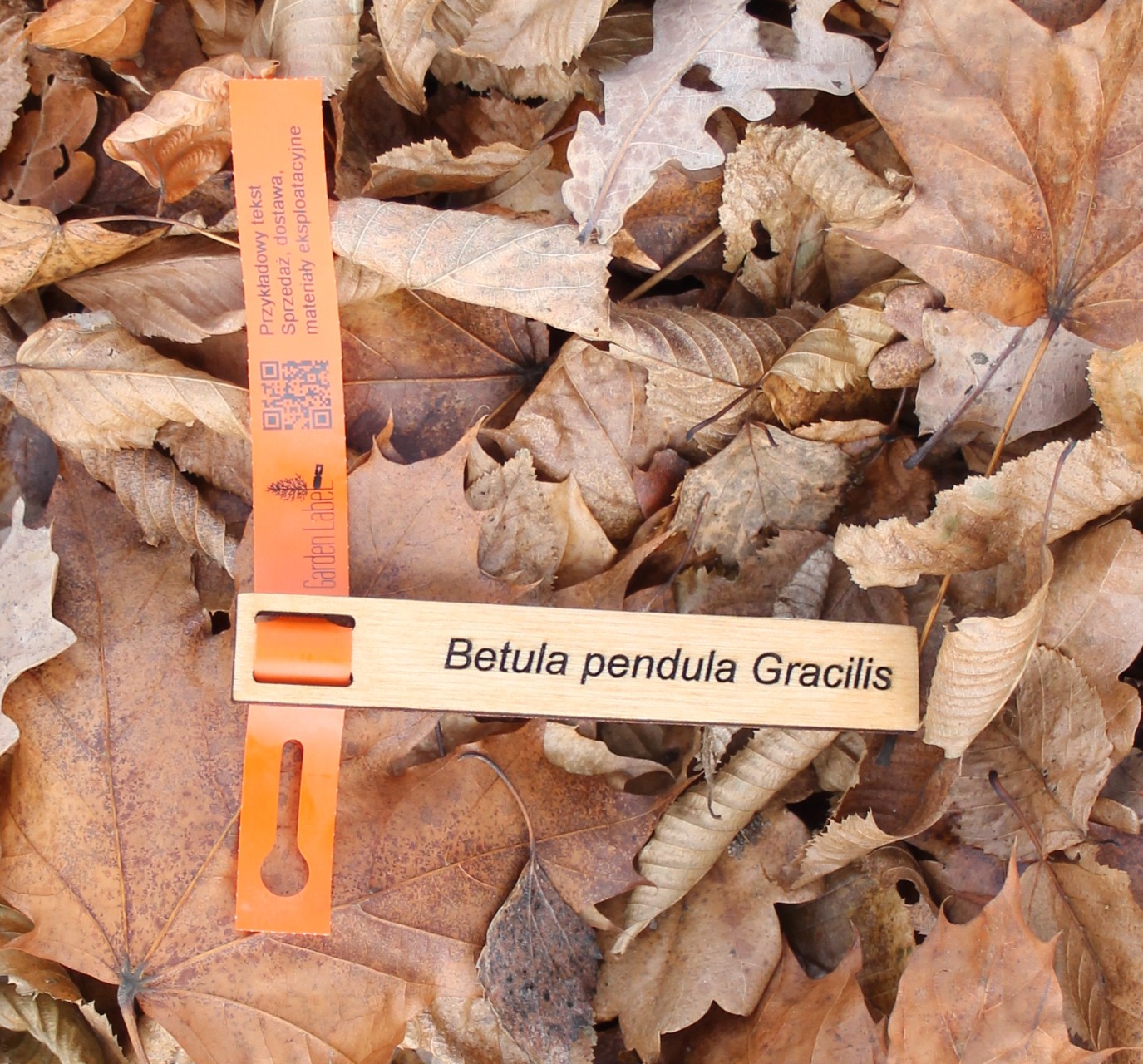 4420e9c943dc2f13630e46e42757f03e