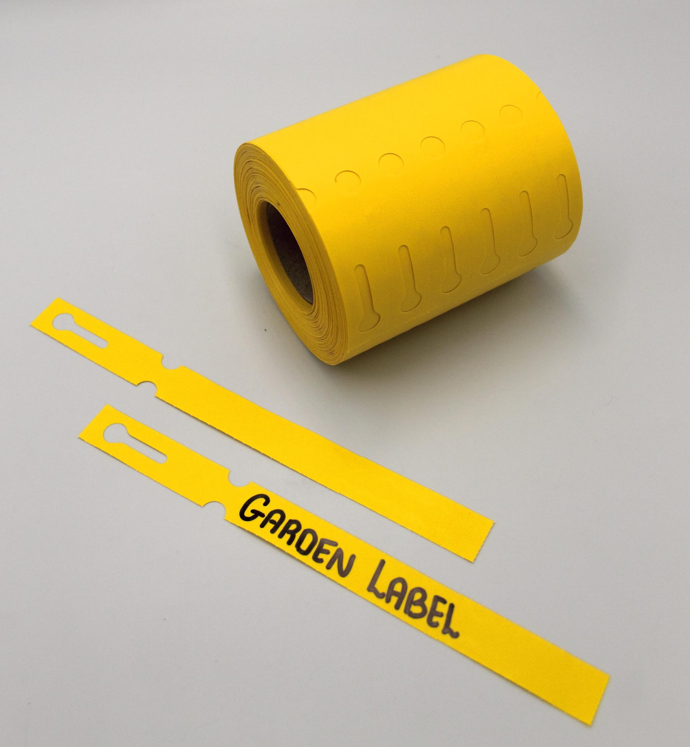 cfeaac776d716e98c4a31a1339b9b870