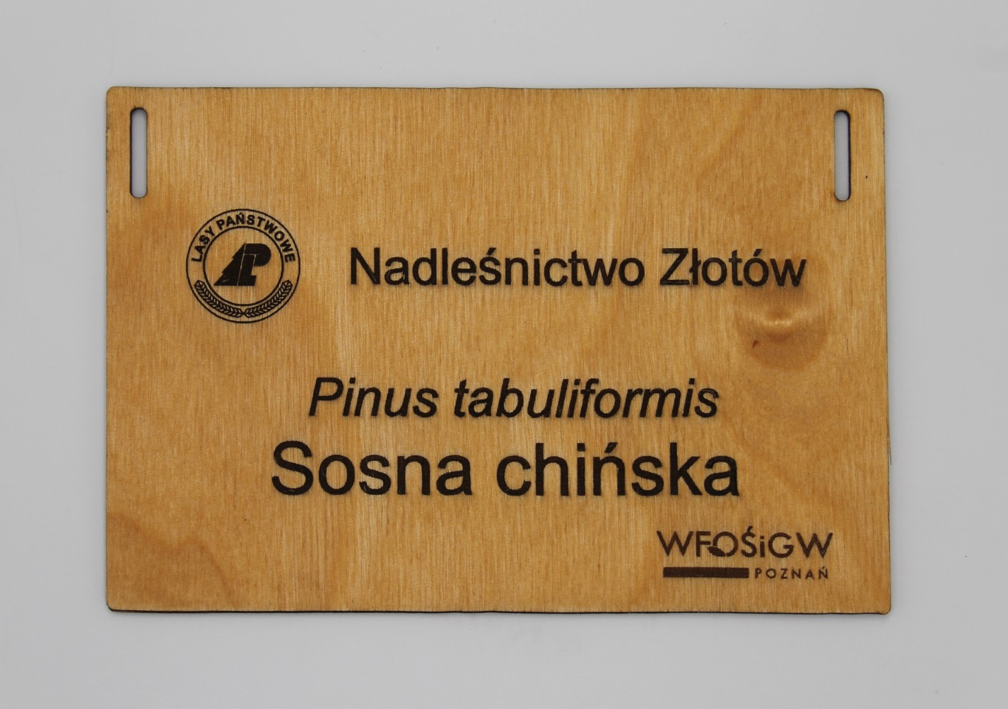 79bbc9da6d55aa0c613df9b038ad722b