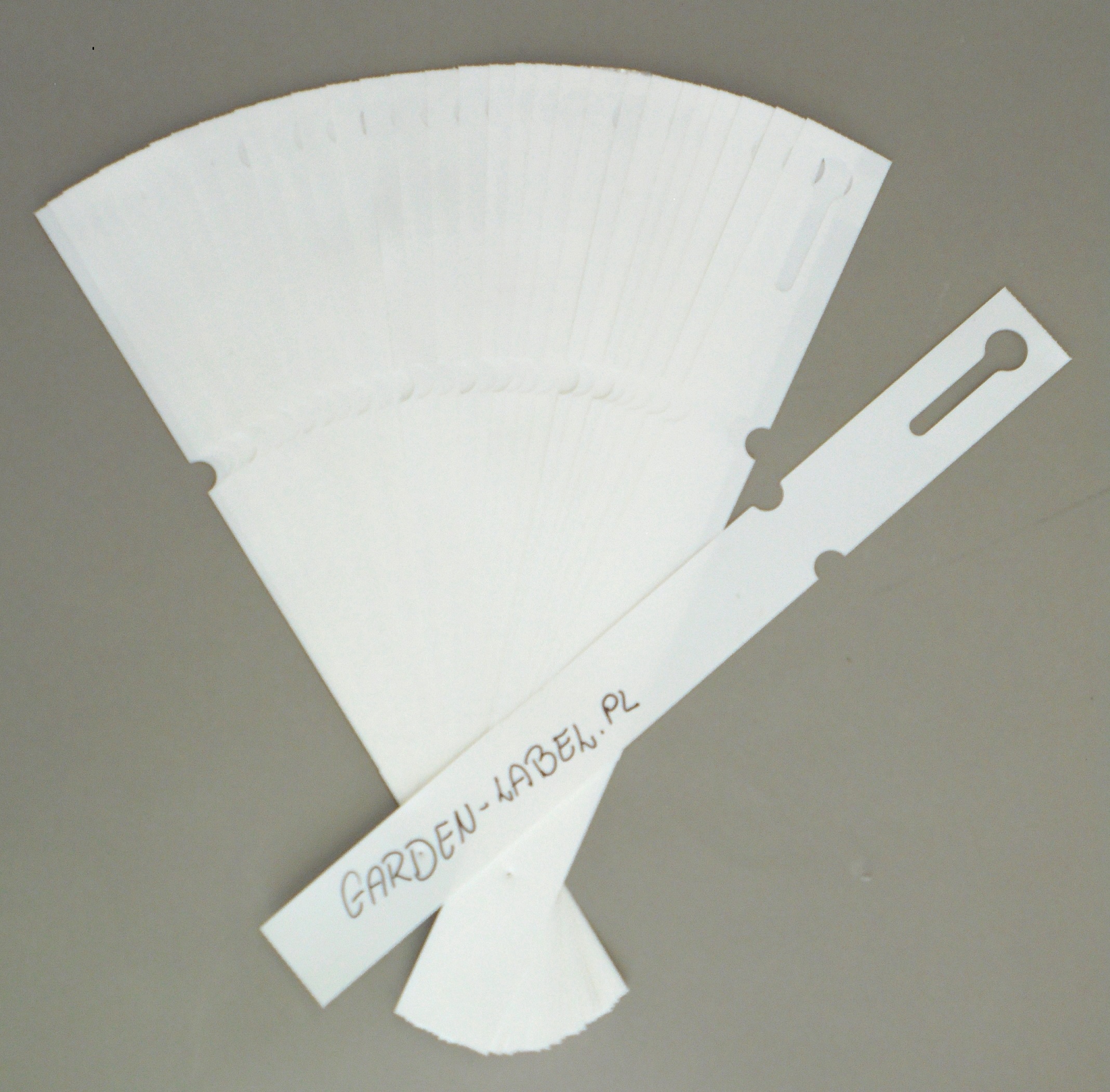 2918cca22969548e784513a20989a375