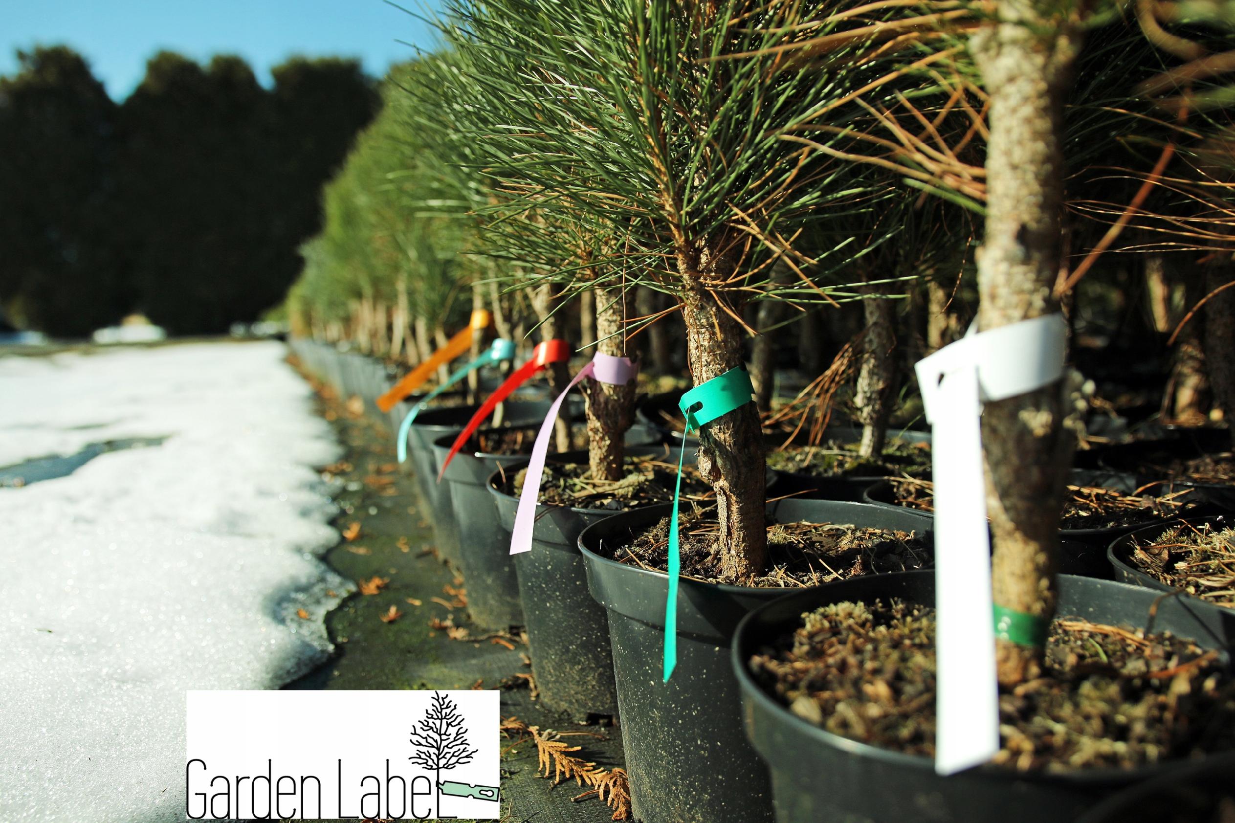 609ba5459b029fa3b223d49ebbd5ffd2