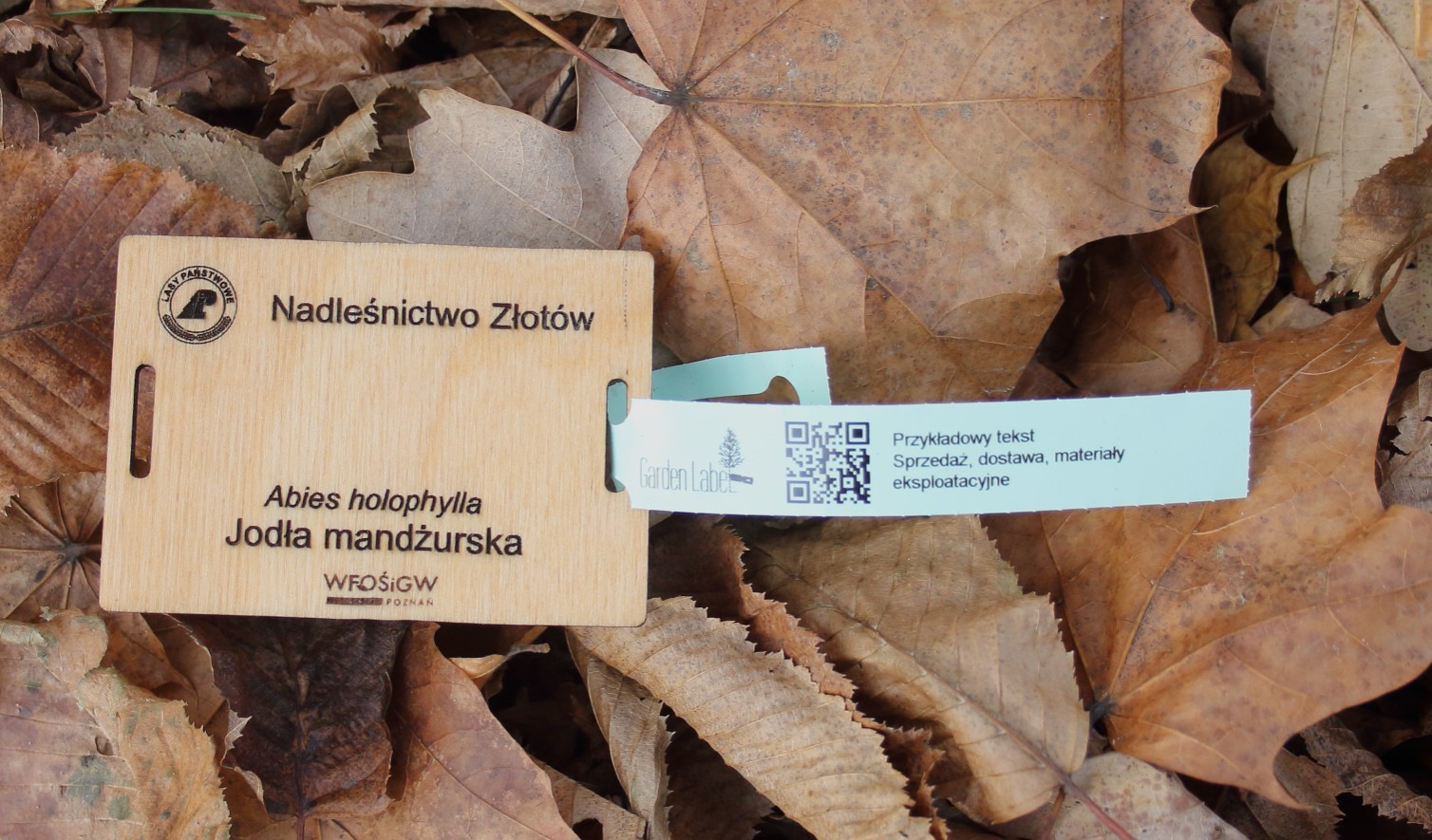 2649899007bc79292e975b82c6f59d66