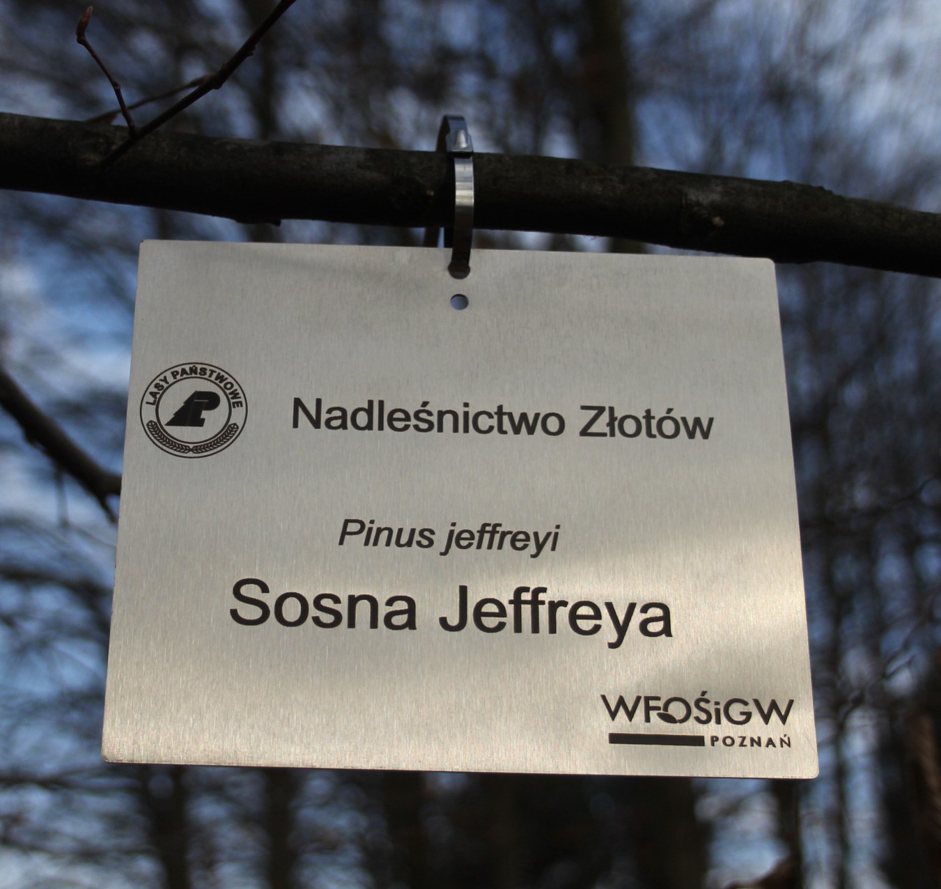 fe9c2506639af0d942d71c0a832d8b43